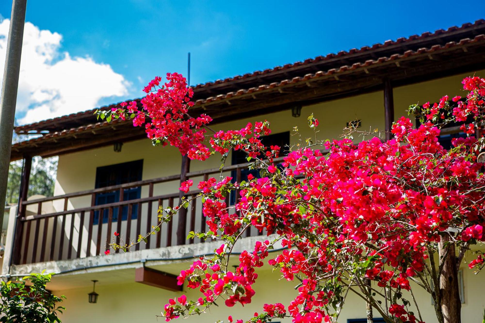 Fazenda Hotel Alvorada Santos Dumont Esterno foto